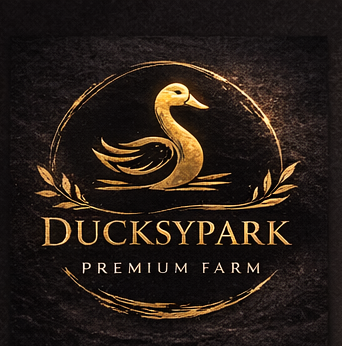 DucksyPark Pekin Ördeği Çiftliği Logosu